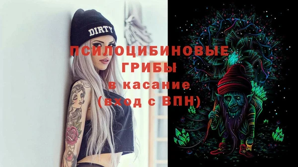 крисы Алзамай